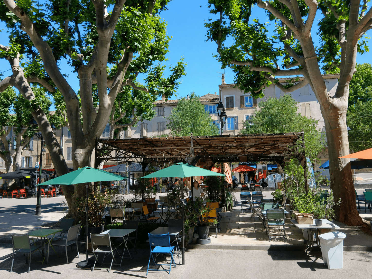 Terrasse ombragée sous les platanes, cours Théodore Bouge à Salernes